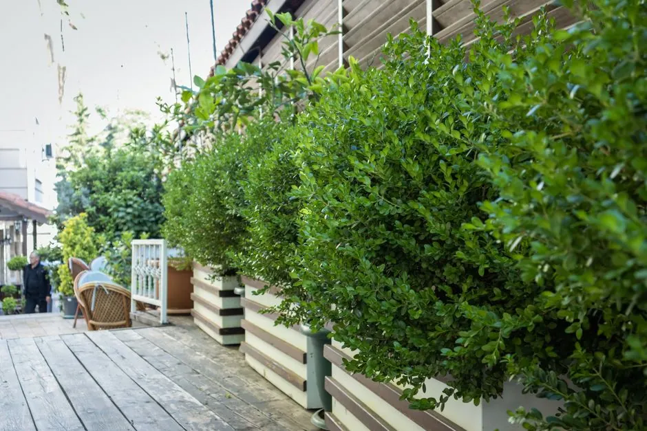 Entretien pelouse et espaces verts