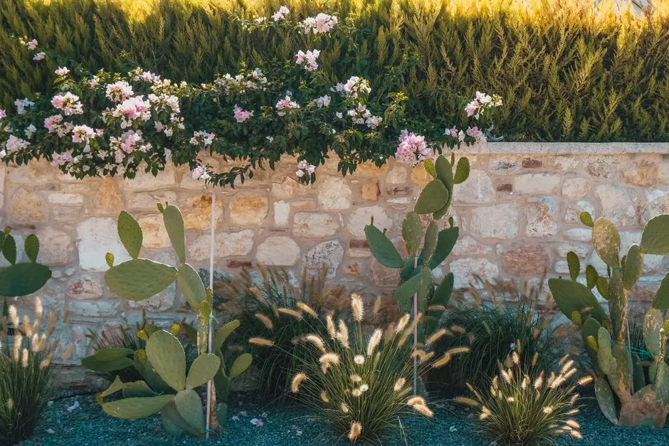 Jardin méditerranéen aménagé à Cannes par Deco Paysage Concept